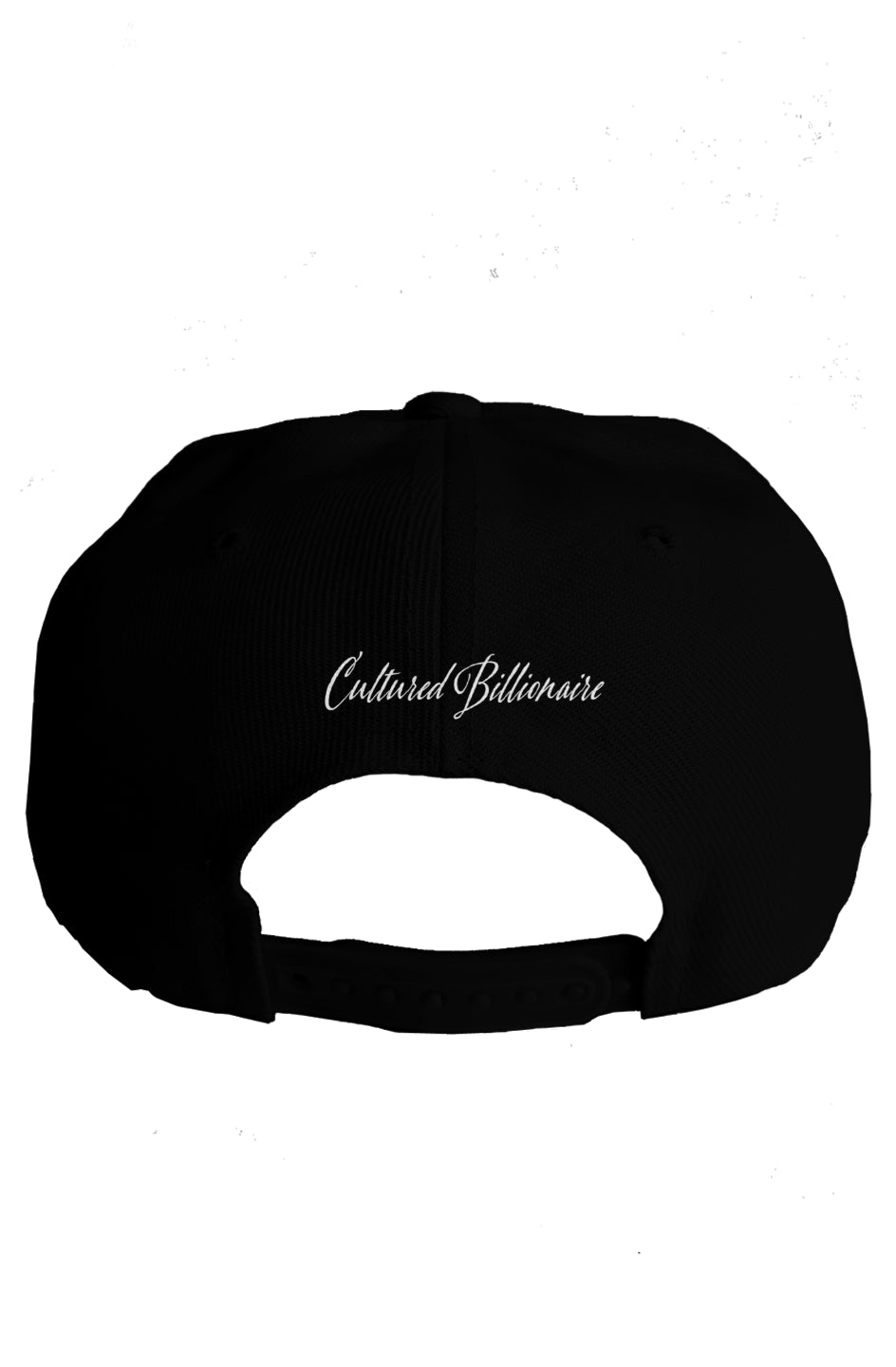 Billionaire snapback